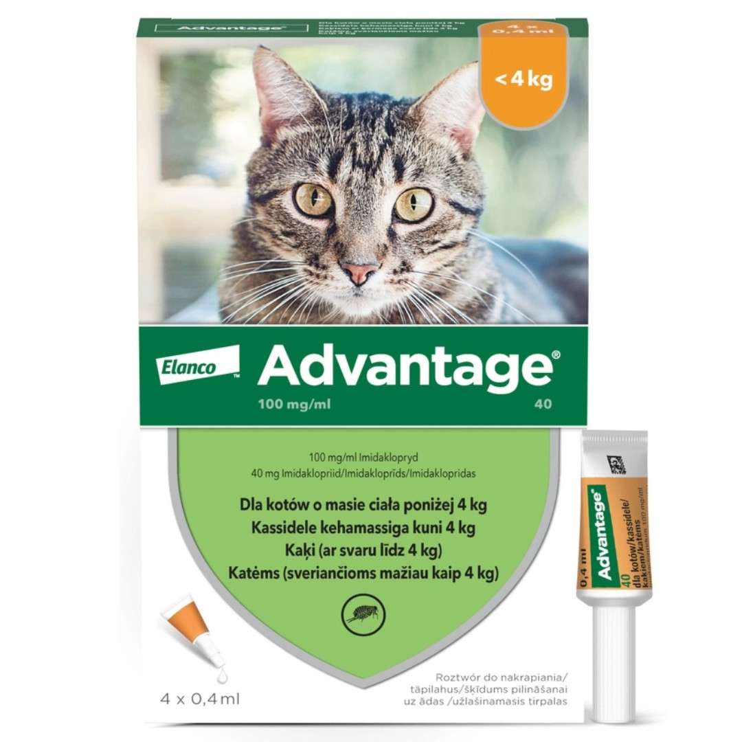 ELANCO Advantage 40 - Flohtropfen für Katzen - 4 Stück - foto 1