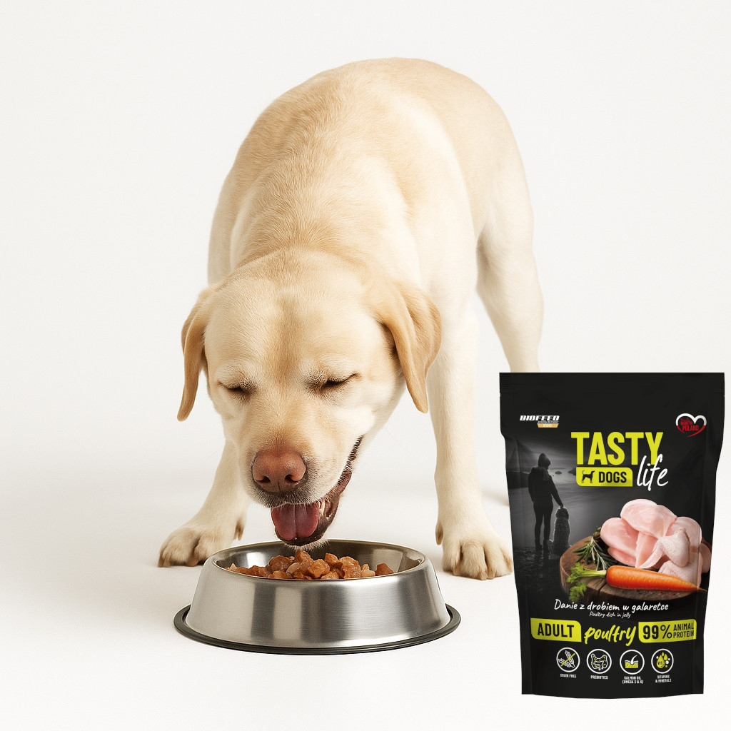 BIOFEED Tasty Dogs Life Poultry - Nassfutter für Hunde - 500g - foto 5