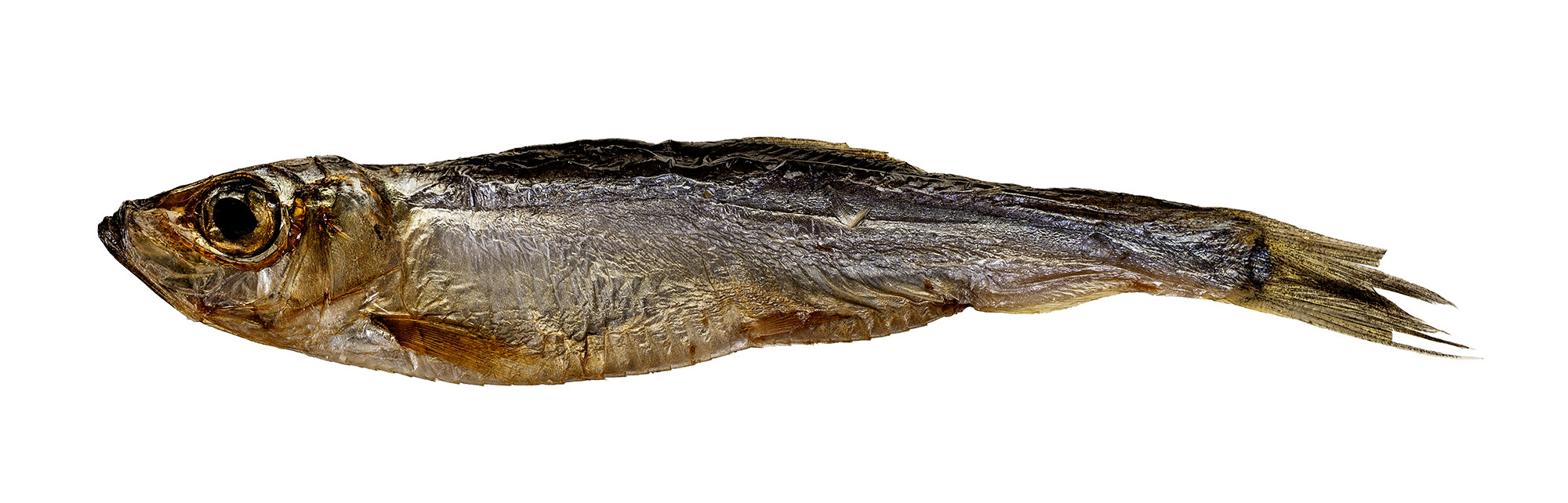 PETITTO Dried sprats - leckerli für hunde - 500g - foto 2