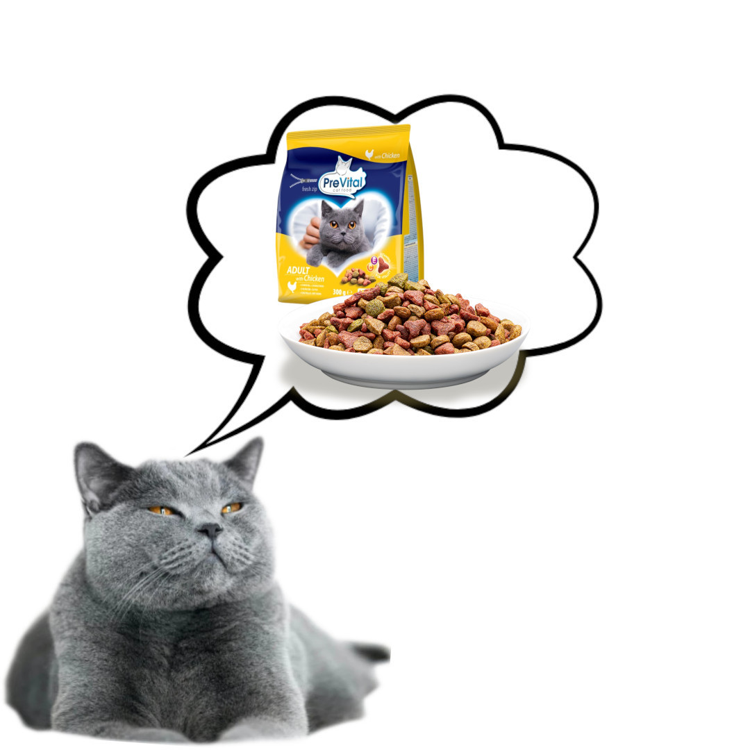 PREVITAL Adult Chicken - trockenfutter für Katzen - 300g - foto 5