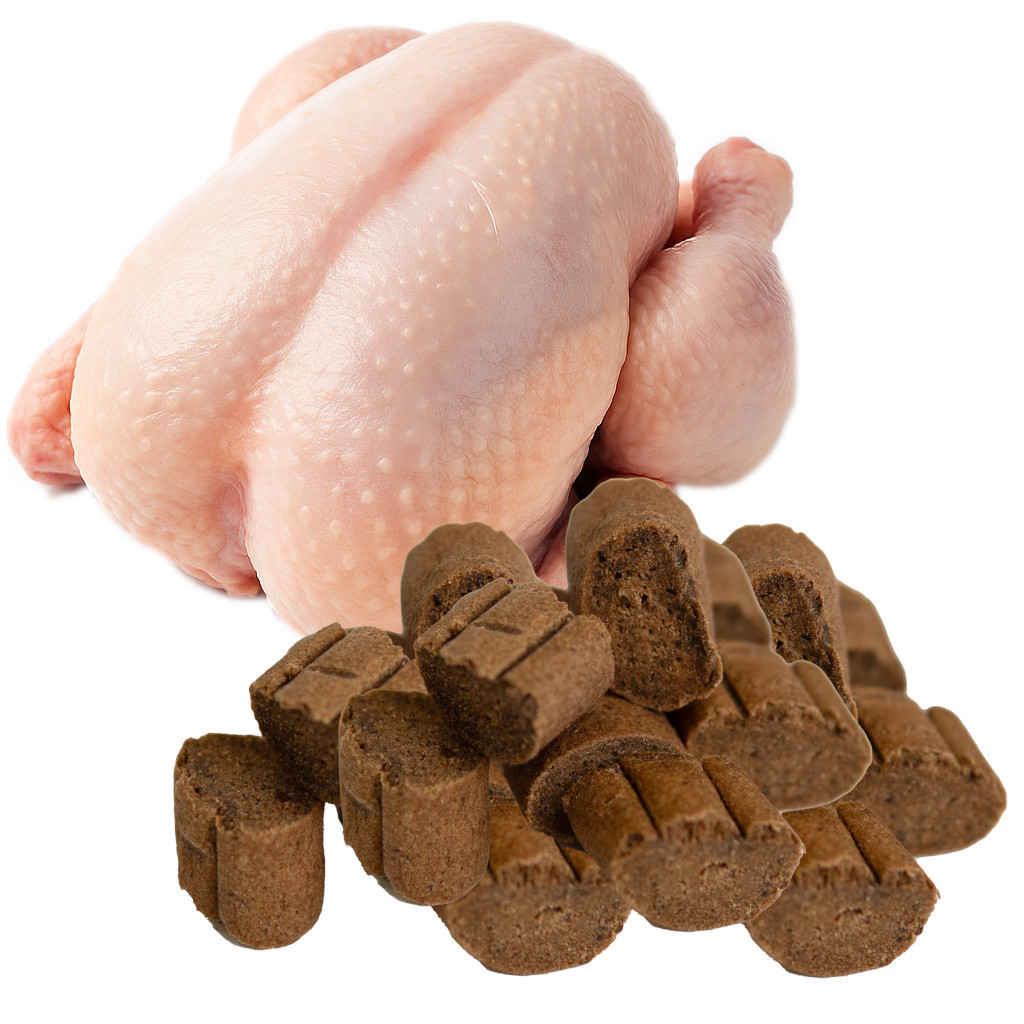 TUF TUF Hundegelee – Bonbons MIX 3 Geschmacksrichtungen – Leckerbissen für Hunde – 12 x 80 g - foto 2