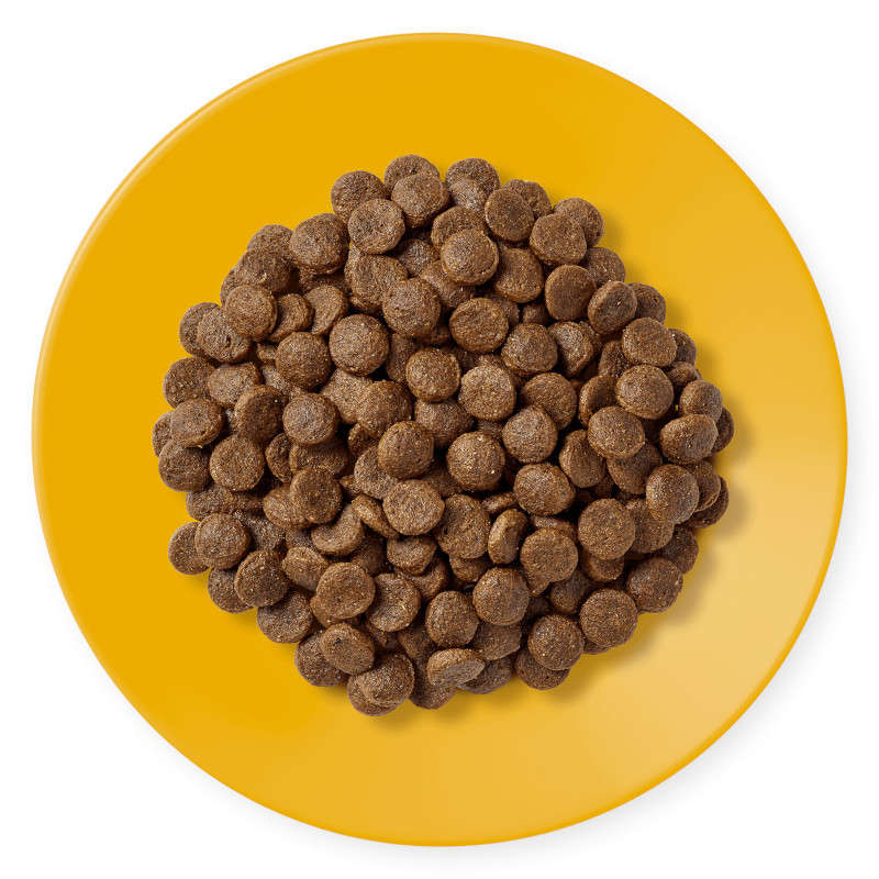 APPLAWS Adult Chicken - trockenfutter für Katzen - 400g - foto 2