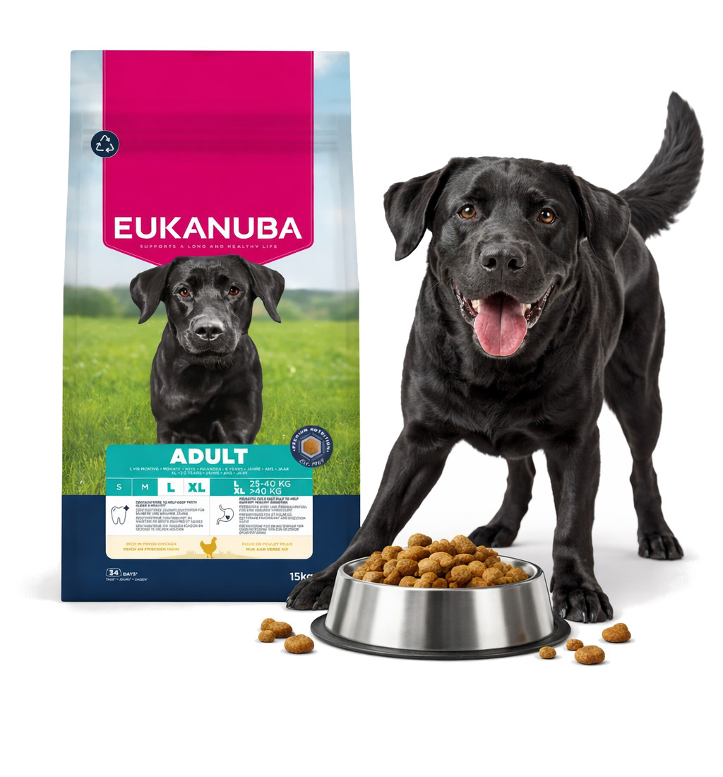 EUKANUBA Adult L XL Rich in chicken - trockenfutter für Hunde - 15kg - foto 4