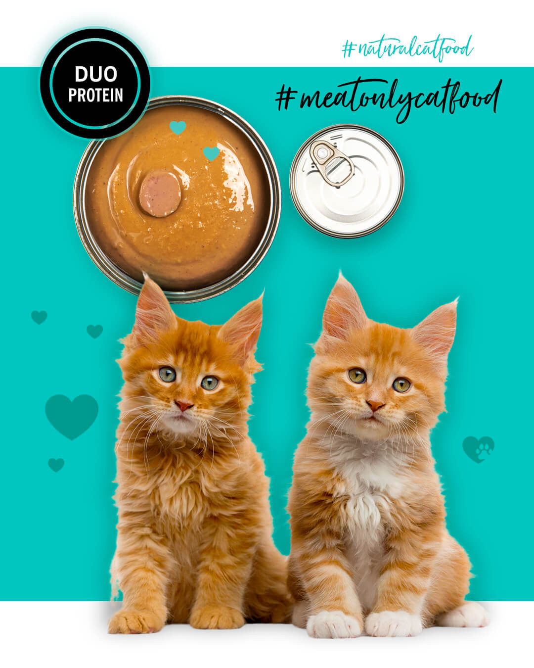 3COTY Chicken with duck For kittens - nassfutter für Katzen - 80g - foto 5