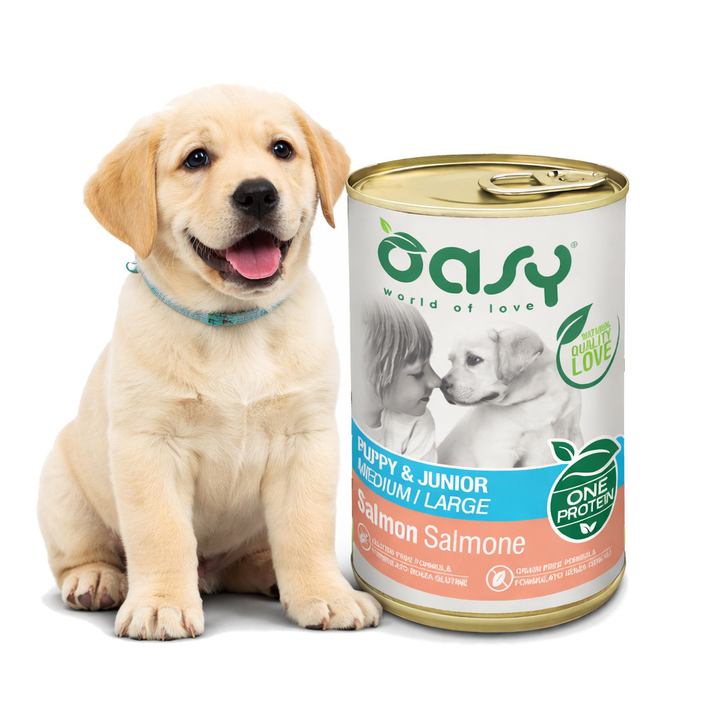 OASY One Protein Puppy & Junior Medium/Large Salmon - Nassfutter für Hunde - 400g - foto 2