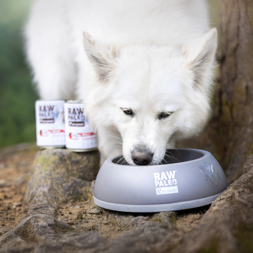 RAW PALEO Adult Monoprotein Beef – Nassfutter für Hunde – 400 g - foto 2