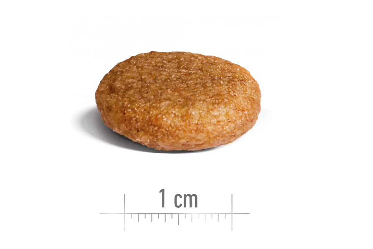 ROYAL CANIN SHN Medium Adult - trockenfutter für Hunde - 15kg - foto 2