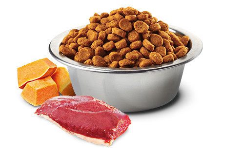 FARMINA N&D Pumpkin Cat Duck and Cantaloupe Melon Adult - Trockenfutter für Katzen - 300 g - foto 3
