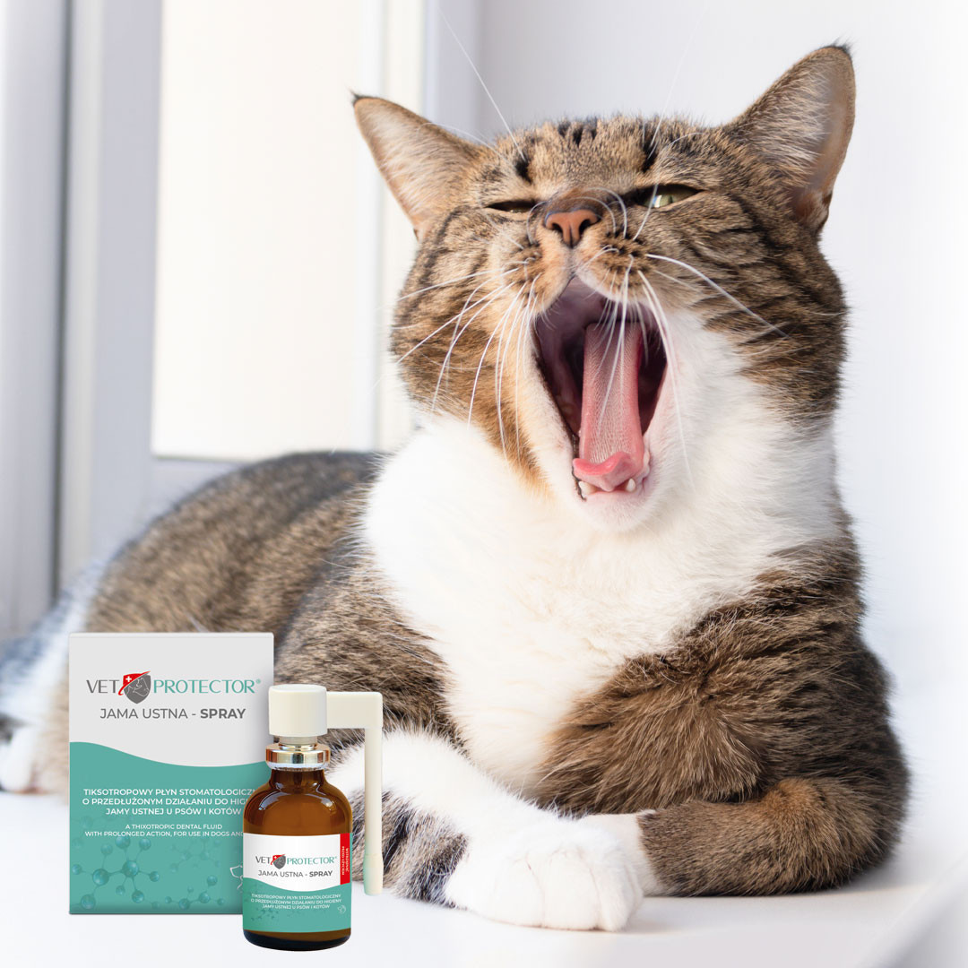 JM SANTE Vet Protector Mundhöhlenspray – Flüssigkeit für die Mundhöhle für Hunde und Katzen - 30 ml - foto 1