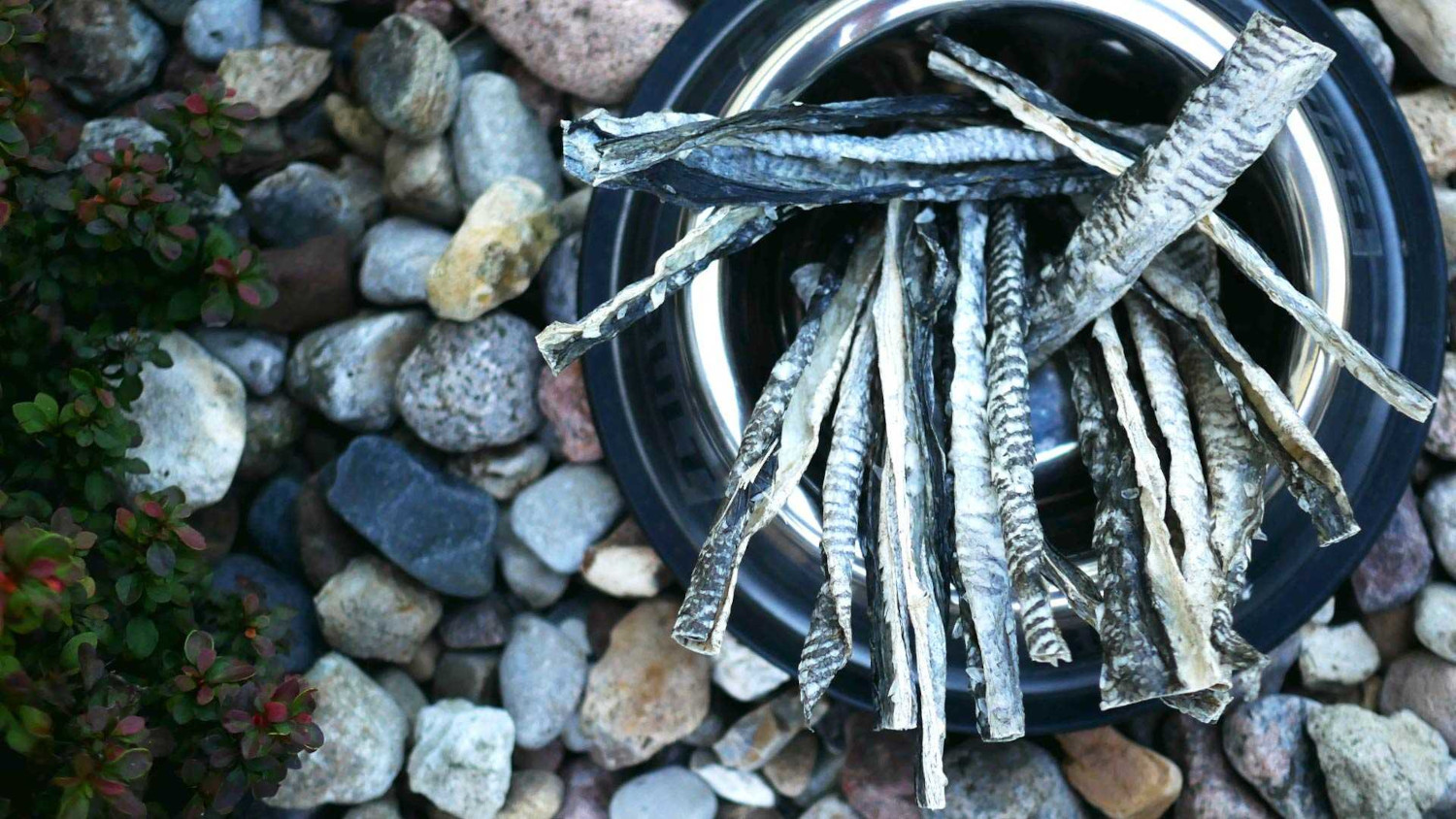 BULT Cod skin - leckerli für hunde - 50g - foto 2