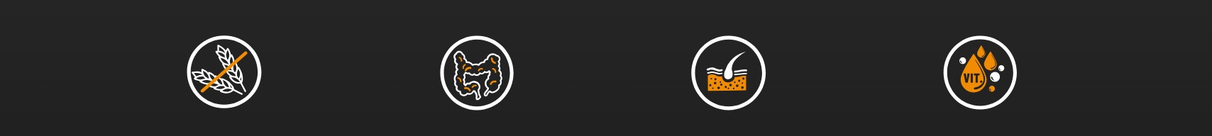 BIOFEED Tasty Dogs Life Duck - Nassfutter für Hunde - 150g - foto 1