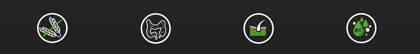 BIOFEED Tasty Dogs Life Lamb - Nassfutter für Hunde - 500g - foto 1