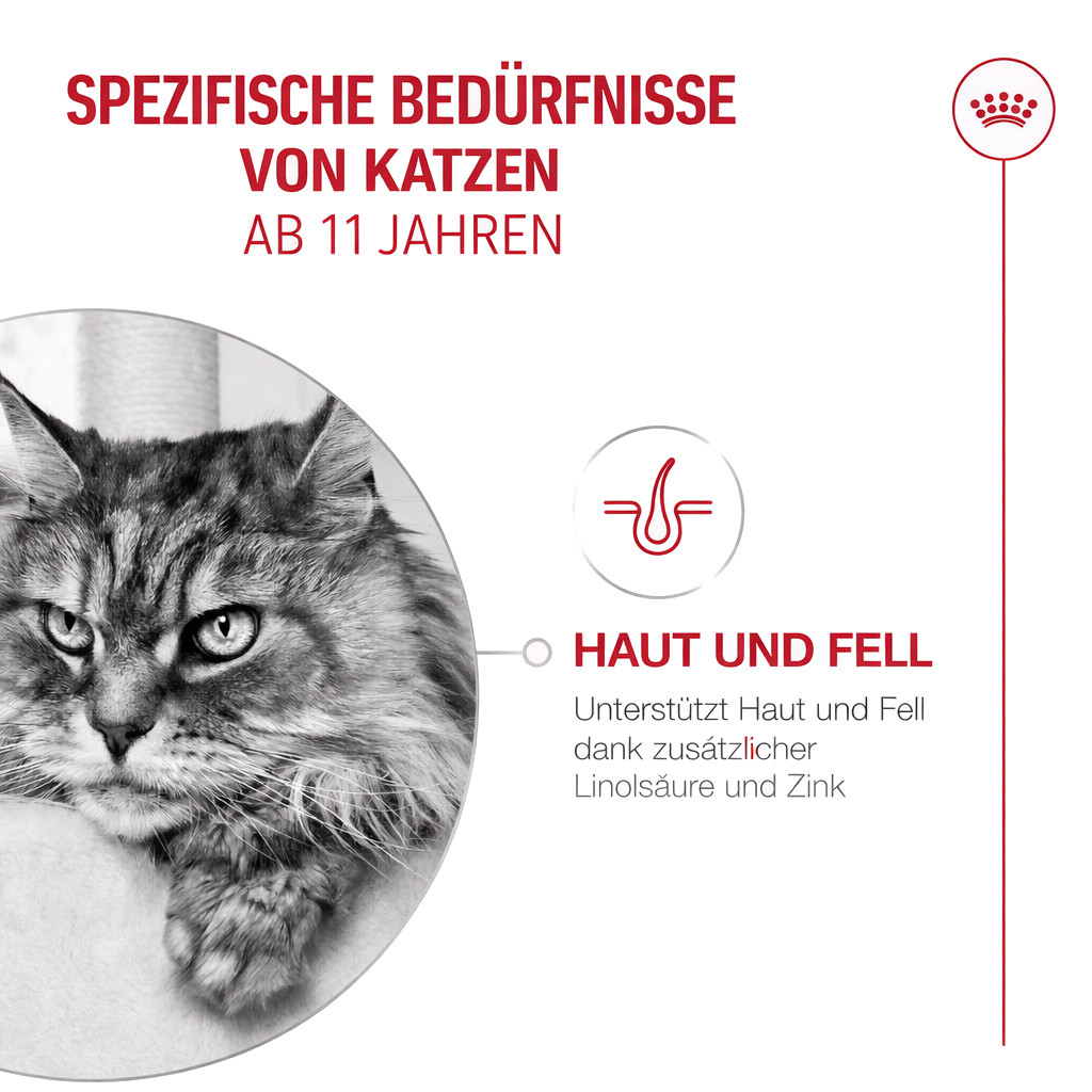 ROYAL CANIN Ageing 11+ - trockenfutter für Katzen - 4kg - foto 9