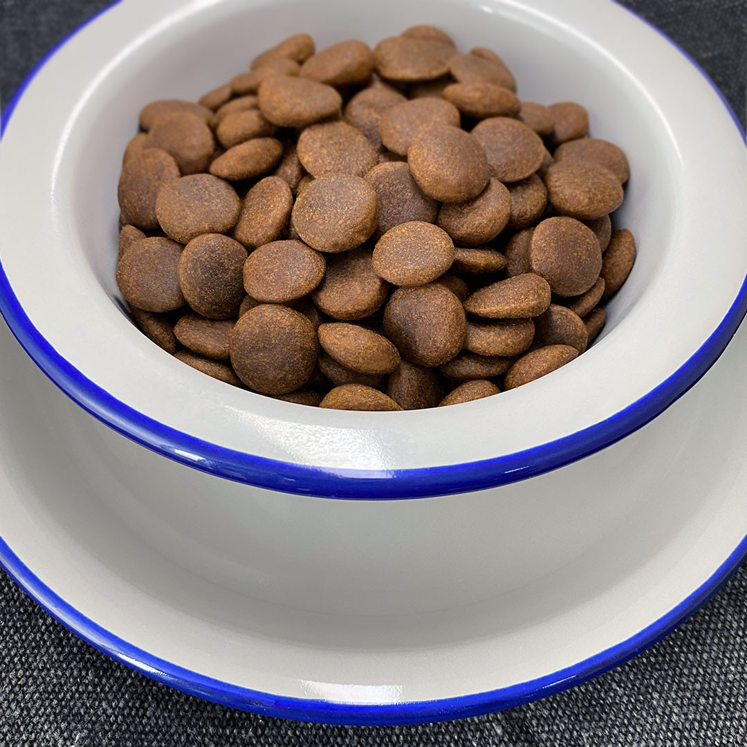 FOLK Medium and large breeds Kashubian-style fish specialty with apples, parsley and lovage - trockenfutter für Hunde - 12kg - foto 2