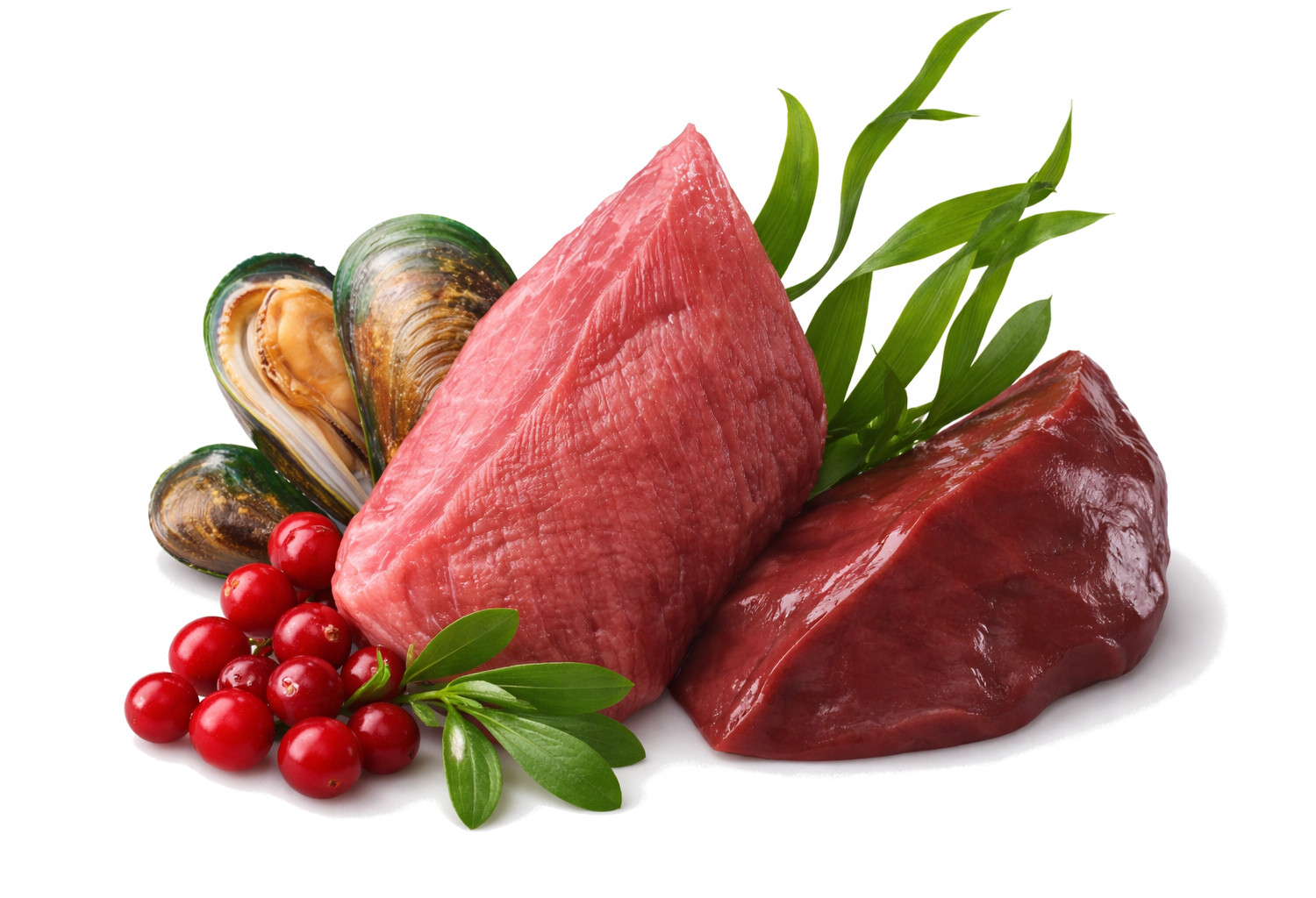 JOHN DOG Berry Line Adult Veal with cranberries - Nassfutter für Hunde - 400g - foto 3