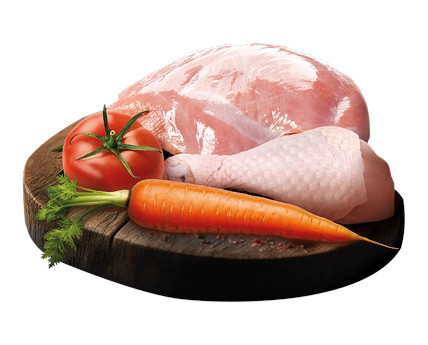 BIOFEED Tasty Dogs Life Turkey- Nassfutter für Hunde - 150g - foto 3