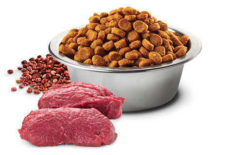 FARMINA N&D Quinoa Dog Skin&Coat Venison&Coconut Adult Medium&Maxi - Trockenfutter für Hunde - 7 kg - foto 2