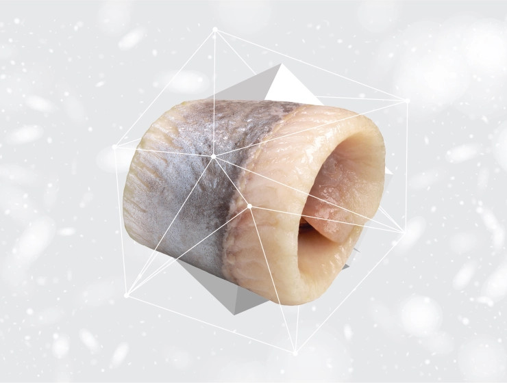 NATURE'S PROTECTION Superior Care White dog Small breeds Herring - trockenfutter für Hunde - 1,5kg - foto 3