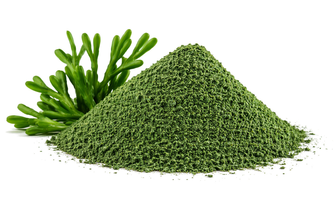 POKUSA RawDietLine Alga - nahrungsergänzungsmittel für hunde und katzen - 350g - foto 2