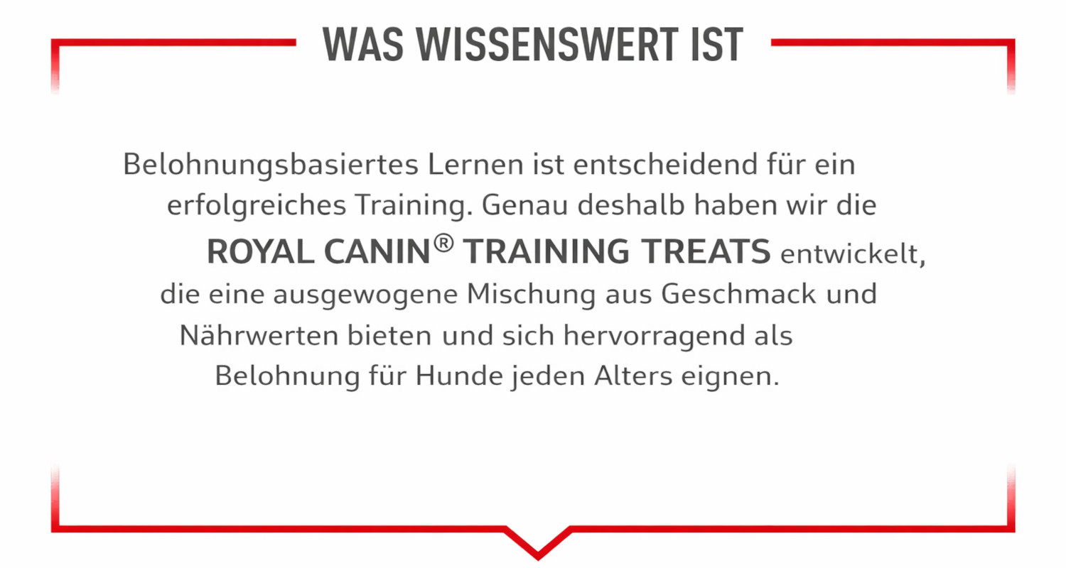 ROYAL CANIN Training Treats – Belohnungsleckerlis für Hunde zur Unterstützung des Trainings - 110 g - foto 2