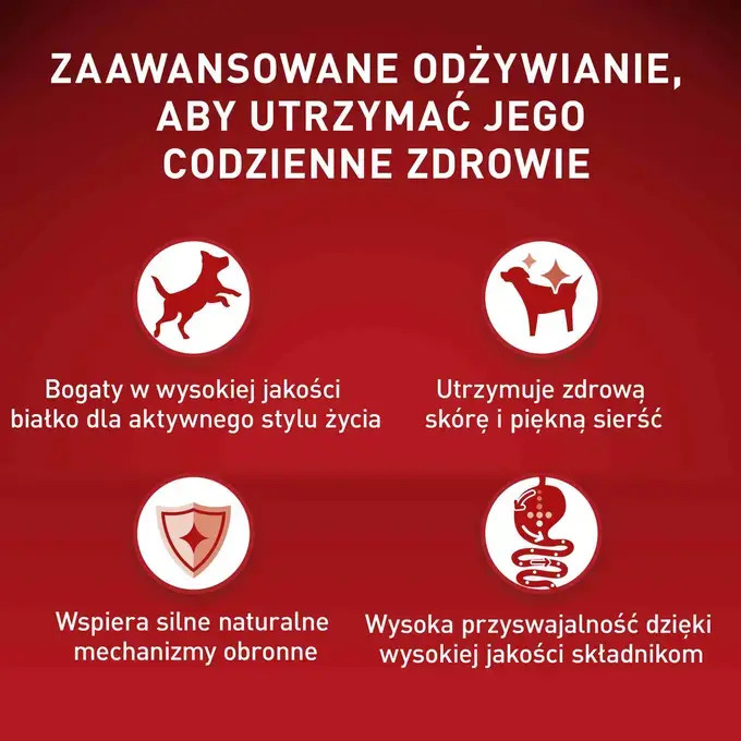 PURINA One Mini/Small Active Beef - Nassfutter für Hunde - 85g - foto 1