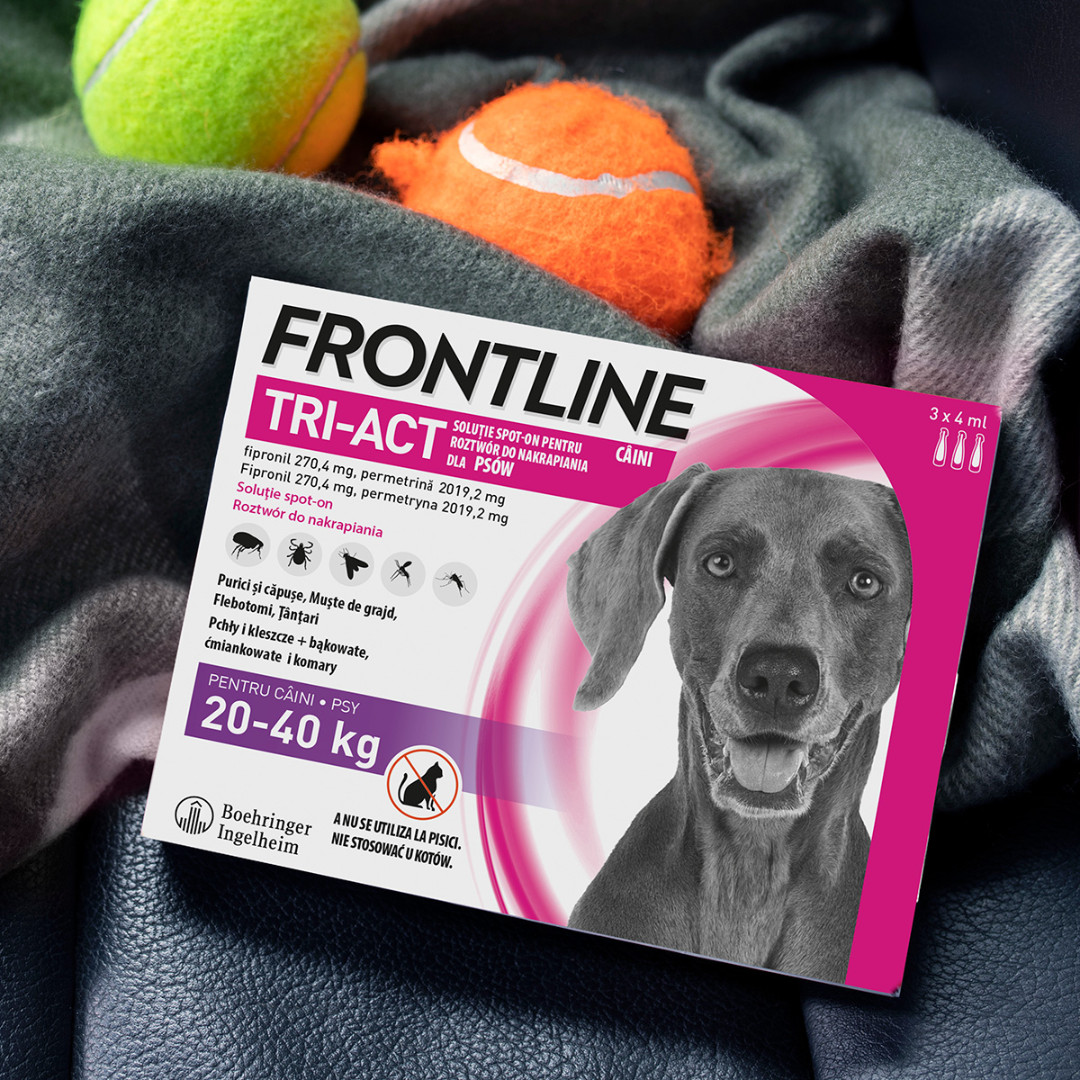 FRONTLINE Tri-act L 20-40 kg - Parasitentropfen für Hunde - 3 x 4 ml - foto 3