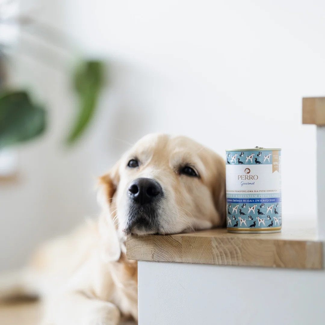 PERRO Gourmet Horse meat with parsley root - Nassfutter für Hunde - 800g - foto 3