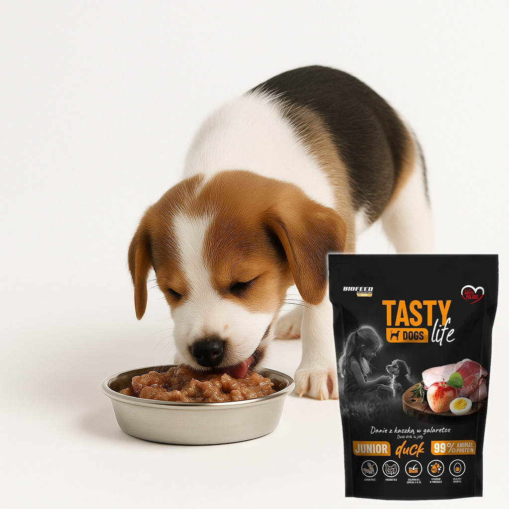 BIOFEED Tasty Dogs Life Junior Duck - Nassfutter für Hunde - 500g - foto 4