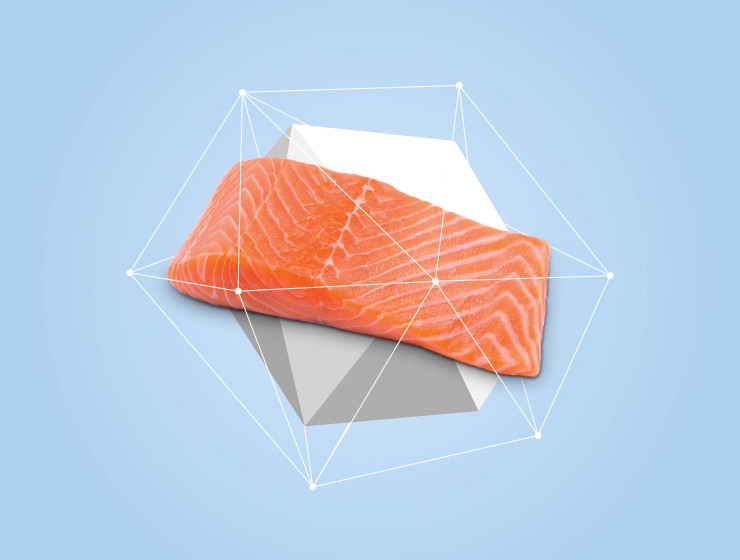 NATURE'S PROTECTION Mini Extra Salmon - trockenfutter für Hunde - 7,5kg - foto 3