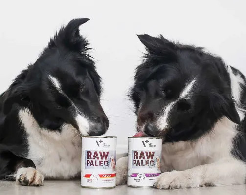 RAW PALEO Adult Monoprotein Beef – Nassfutter für Hunde – 800 g - foto 1