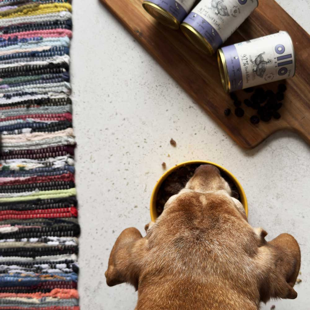 OLLO Umami Duck and turkey - Nassfutter für Hunde - 850g - foto 3