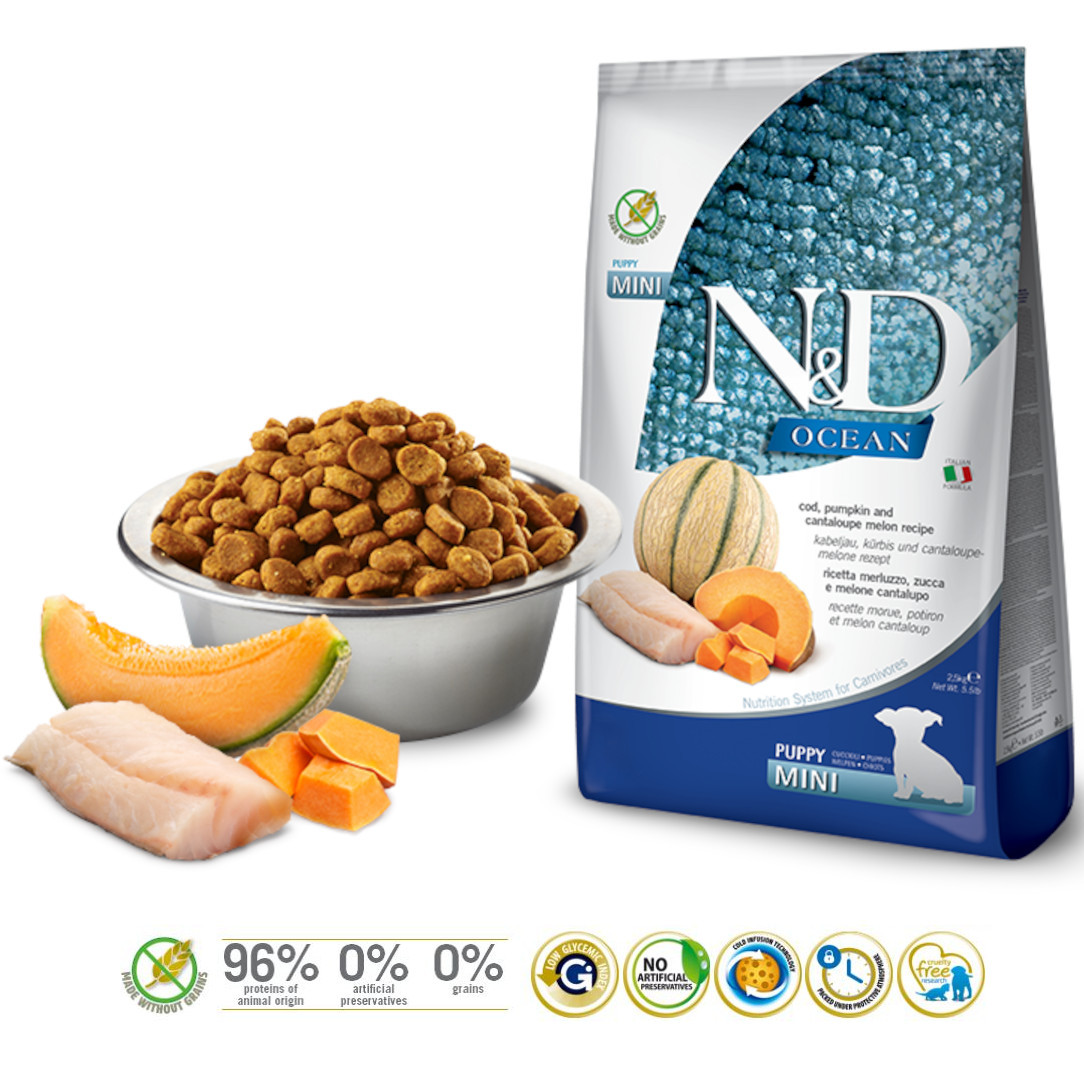 FARMINA N&D Ocean Dog Cod, Pumpkin & Cantaloupe Melon Puppy Mini - Trockenfutter für Hunde - 800g - foto 1