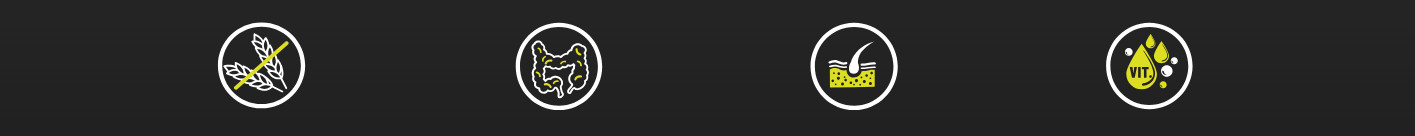 BIOFEED Tasty Dogs Life Poultry - Nassfutter für Hunde - 500g - foto 1