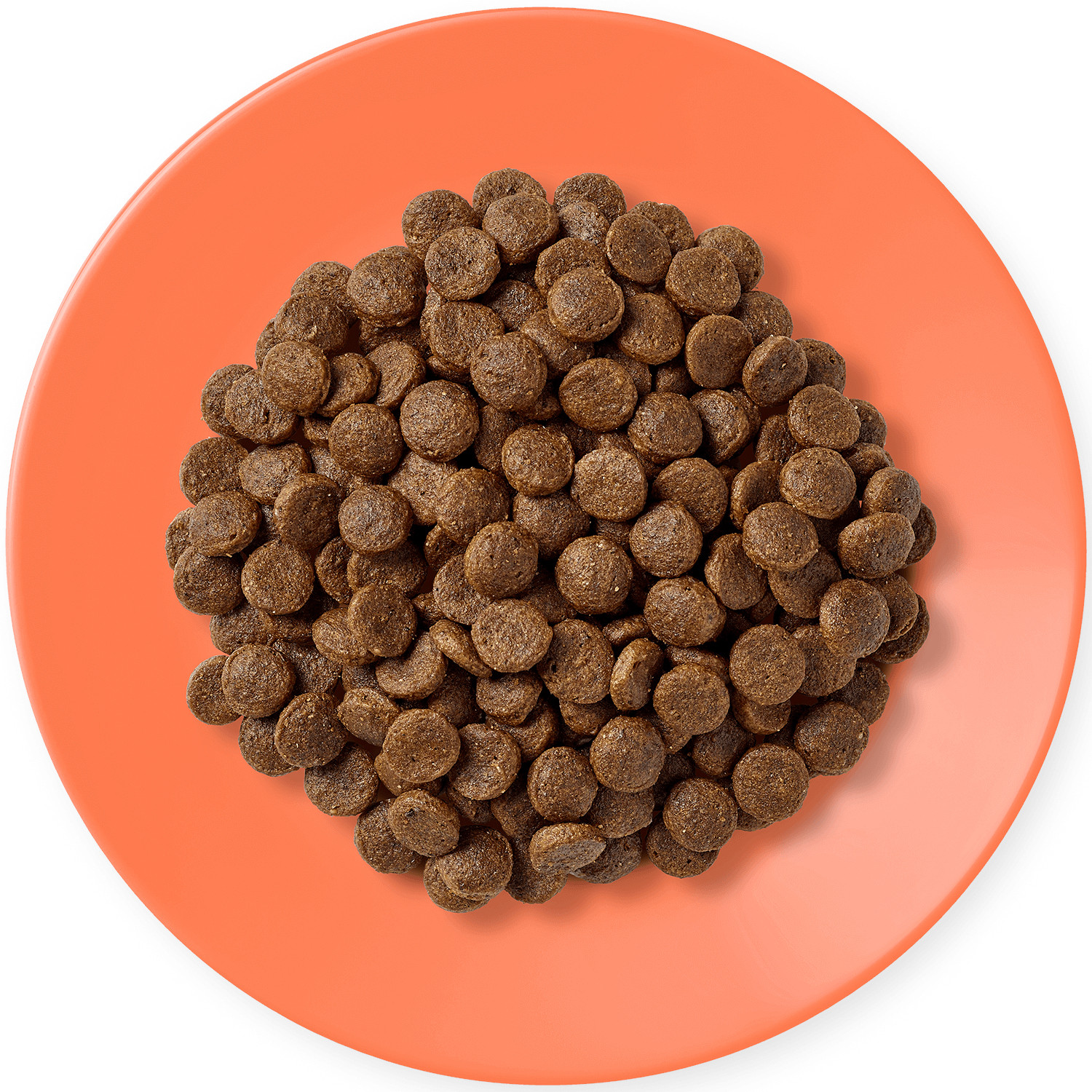 APPLAWS Chicken with salmon - trockenfutter für Katzen - 7,5kg - foto 2