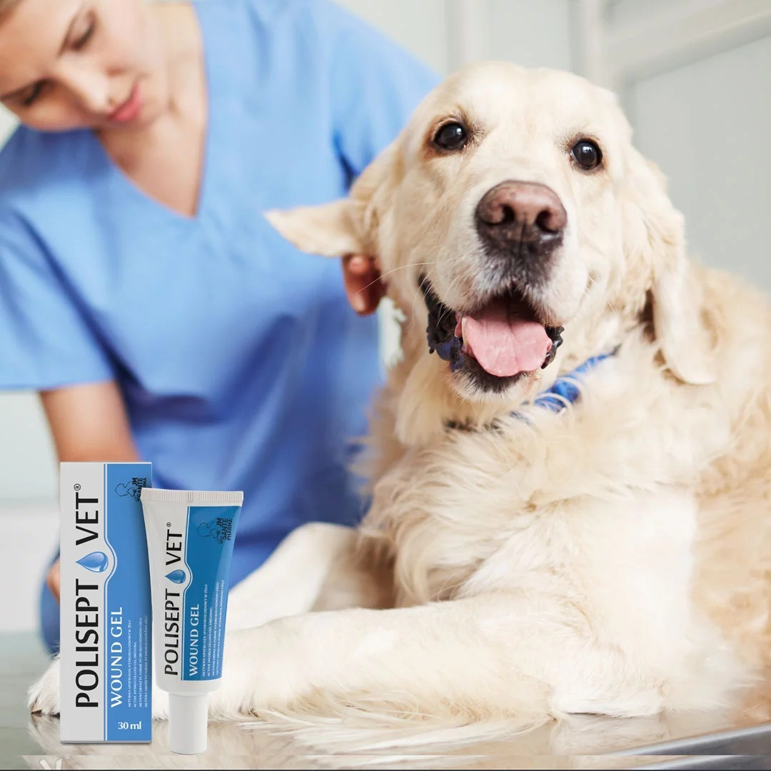 JM SANTE Polisept Vet Wound gel - gelverband für hunde und katzen – 30 ml - foto 1