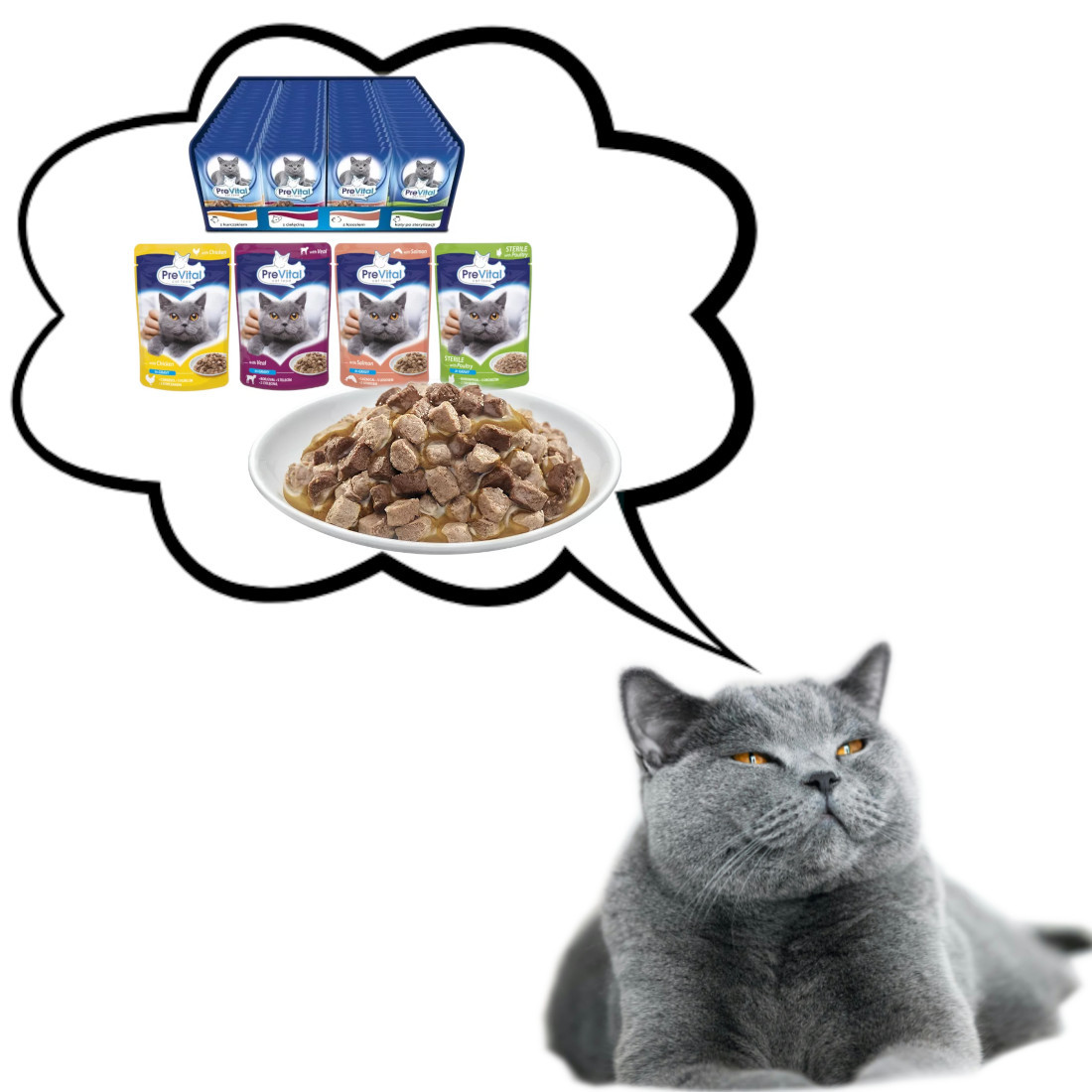 PREVITAL Katzenfutter Mix 4 Geschmacksrichtungen Huhn, Kalb, Lachs, Geflügel – Nassfutter für Katzen – 96 x 100 g - foto 3