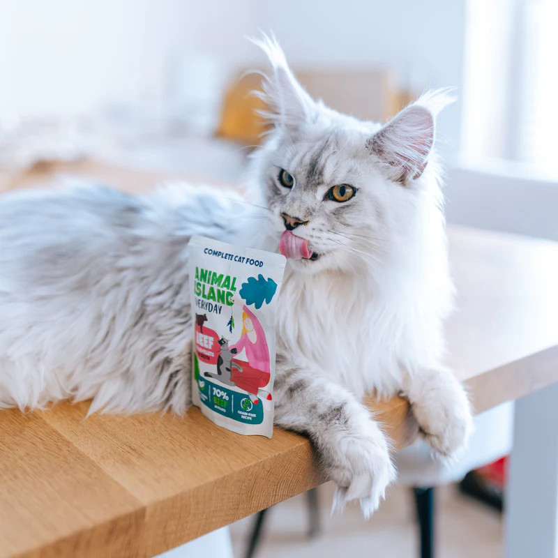 ANIMAL ISLAND Beef in broth - nassfutter für Katzen - 40x85g - foto 3