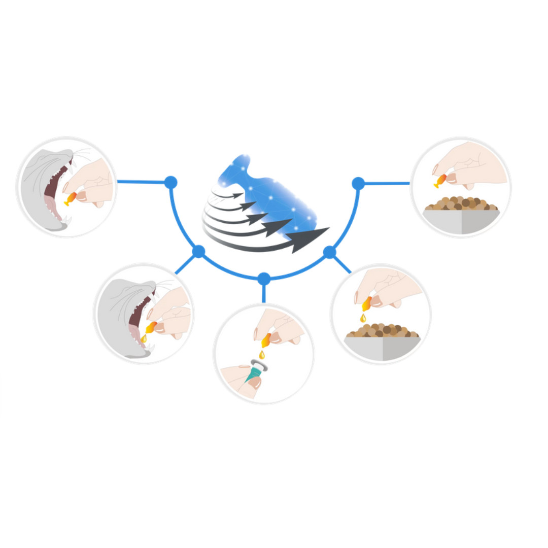 JM SANTE Multiway Vet Duocaps Ulga Max - twist-off kapseln zur linderung von stress und unwohlsein bei hunden und katzen – 60 stück - foto 4