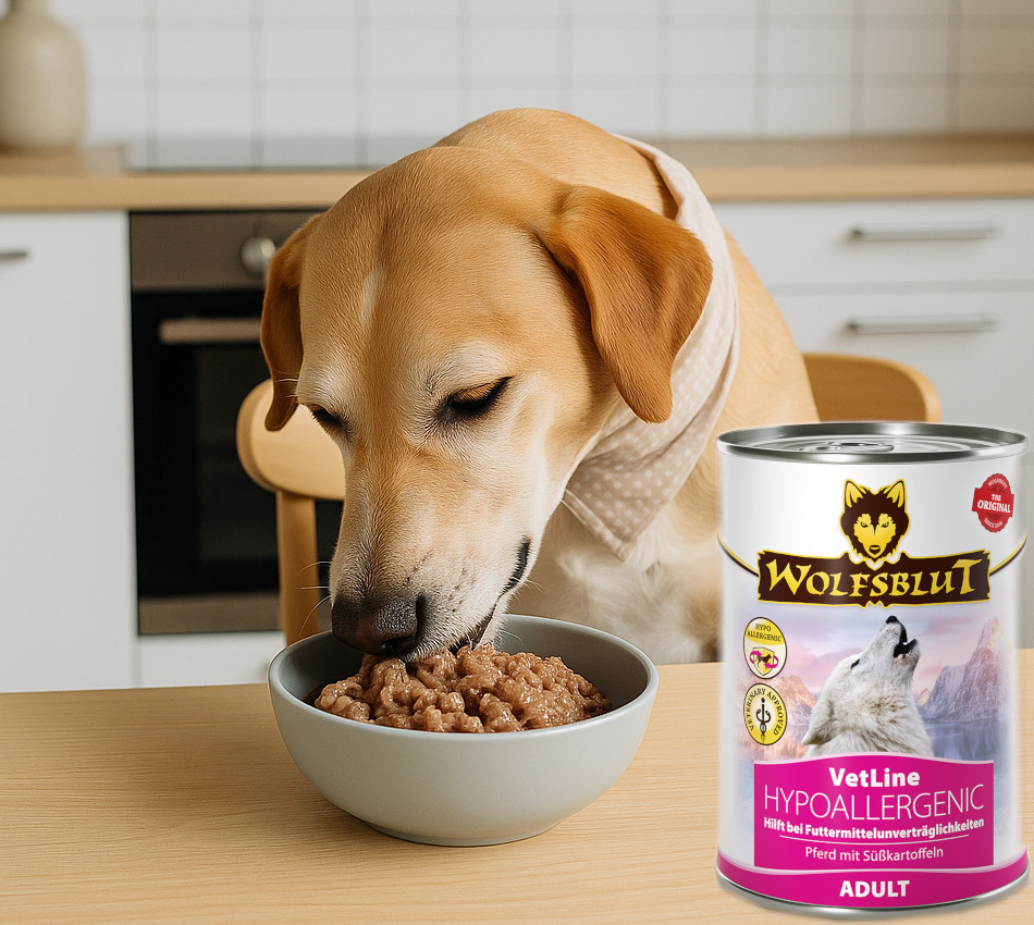 WOLFSBLUT VetLine Hypoallergenic Horse - Nassfutter für Hunde - 395g - foto 5