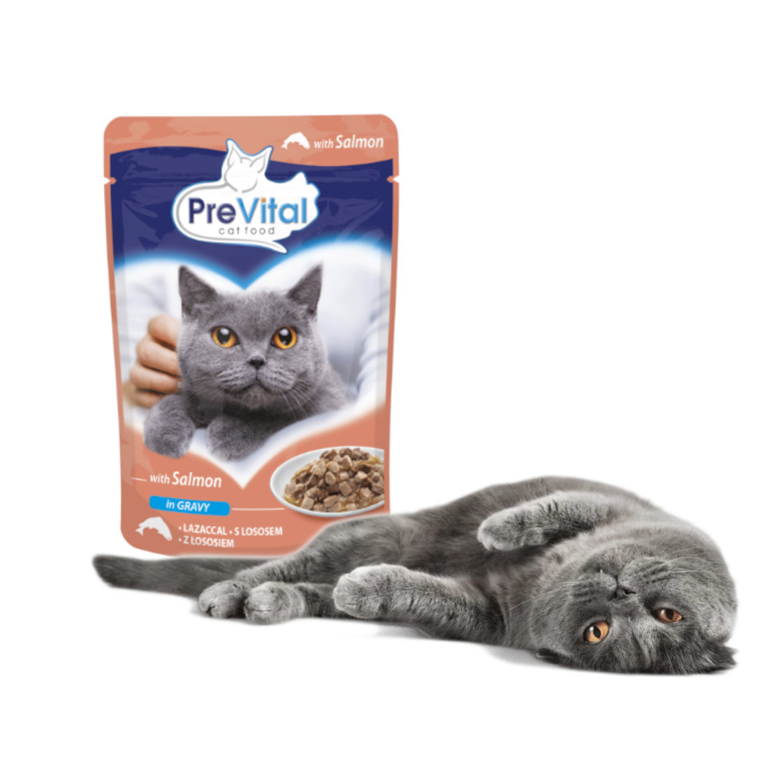 PREVITAL Salmon in gravy - nassfutter für Katzen - 100g - foto 4
