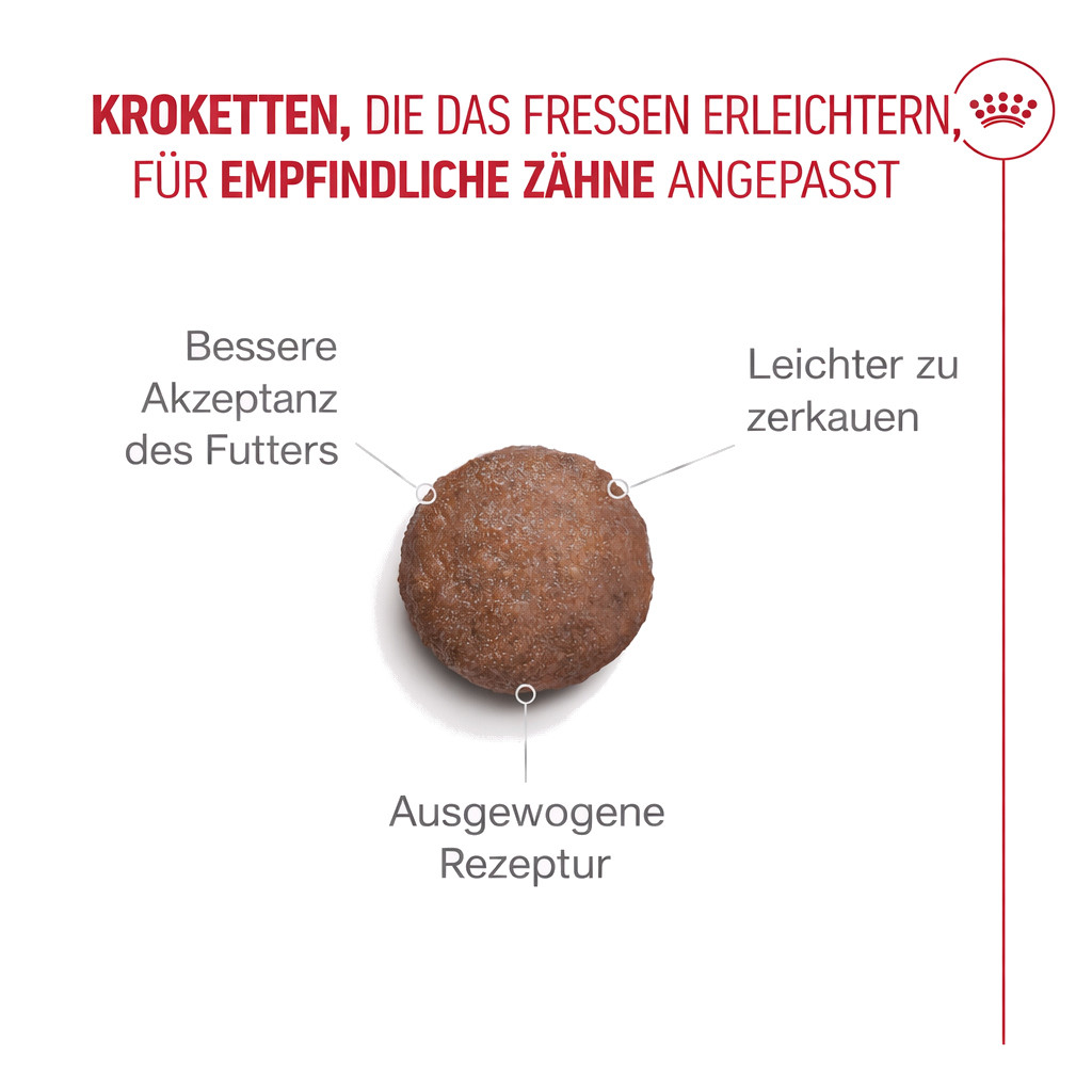 ROYAL CANIN Ageing 11+ - trockenfutter für Katzen - 2kg - foto 5