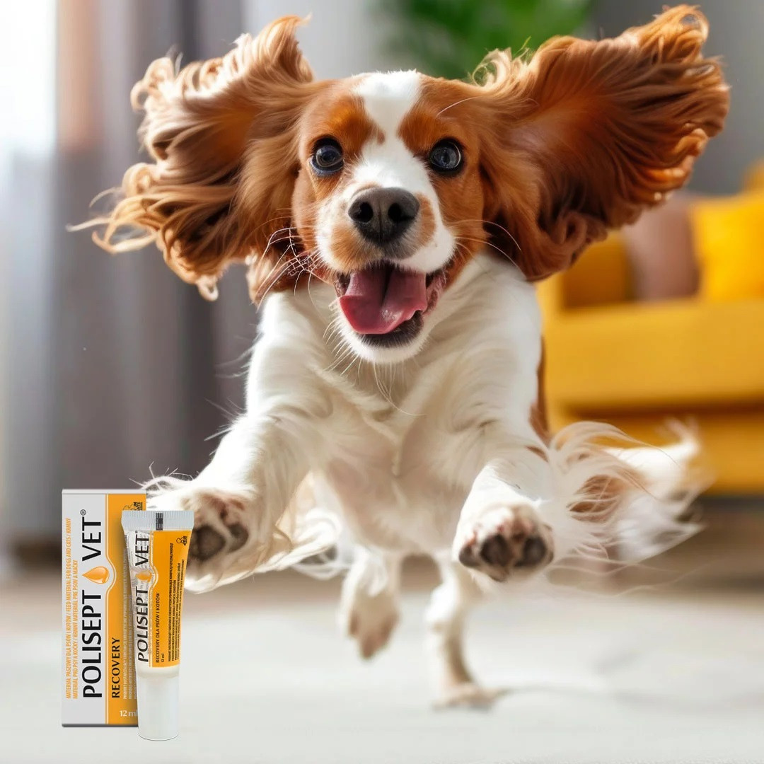 JM SANTE Polisept Vet Recovery - energiepräparat für hunde und katzen – 12 ml - foto 1