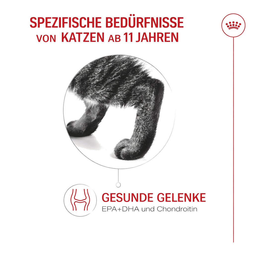 ROYAL CANIN Ageing 11+ - trockenfutter für Katzen - 4kg - foto 6