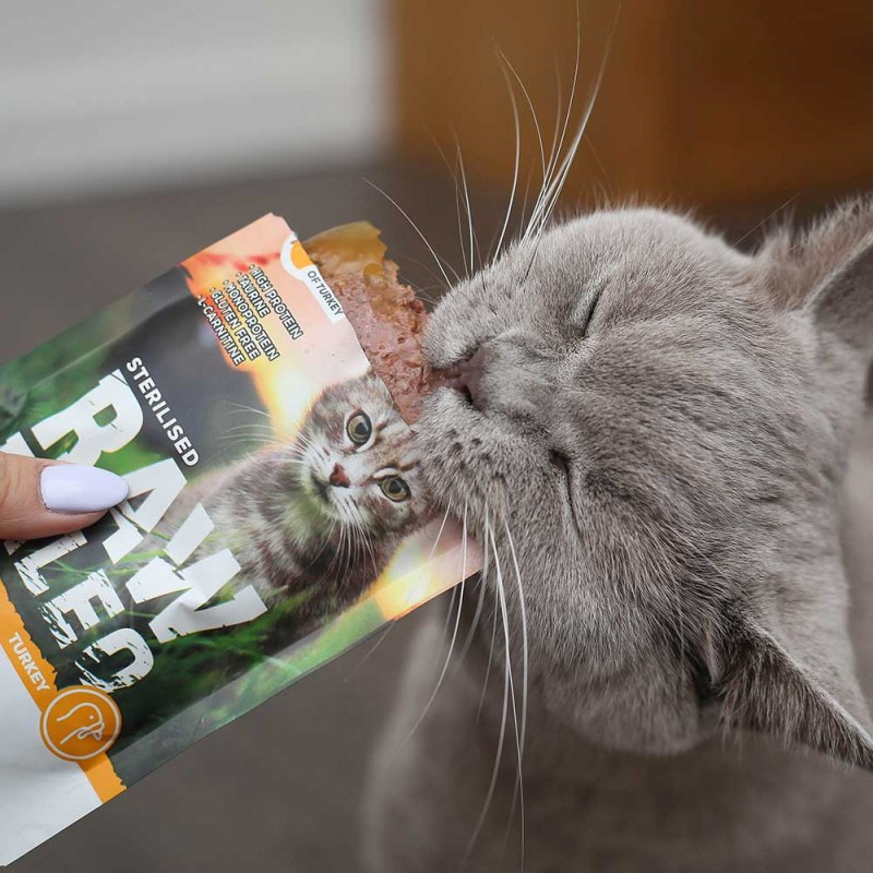 RAW PALEO Adult Cat Sterilised Turkey – Nassfutter für Katzen – 100 g - foto 1