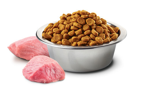 FARMINA N&D Pumpkin Lamb&Blueberry Puppy Mini - trockenfutter für Hunde - 7kg - foto 2