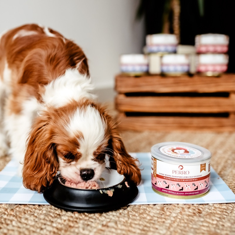 PERRO Junior Pork with carrot - nassfutter für Hunde - 850g - foto 3