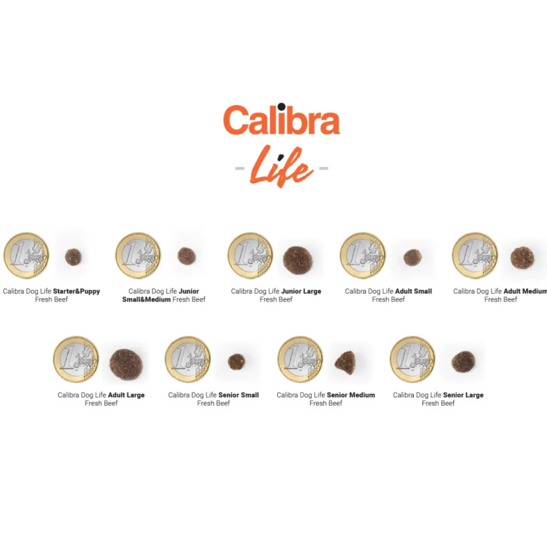 CALIBRA Dog Life Adult Medium Fresh Beef - trockenfutter für Hunde - 12kg - foto 2
