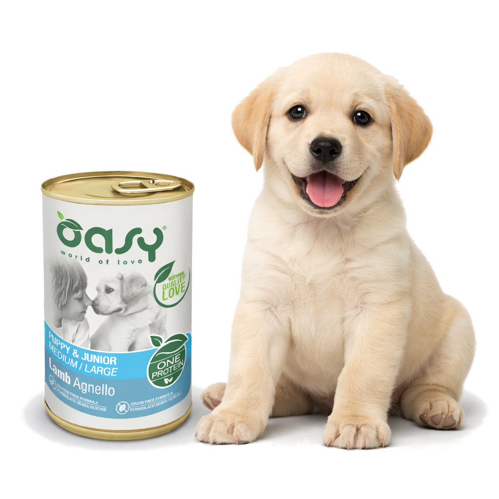 OASY One Protein Puppy & Junior Medium/Large Lamb - Nassfutter für Hunde - 400g - foto 2