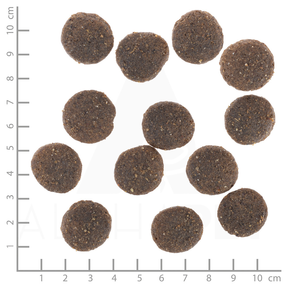 WOLFSBLUT Range Lamb Lamb with rice - trockenfutter für Hunde - 2x12,5kg - foto 3