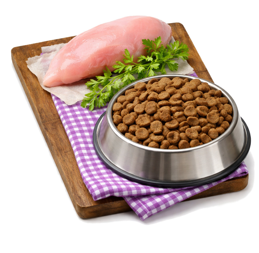 BOSCH Maxi Senior Geflügel und Reis – Trockenfutter für Hunde – 12,5 kg - foto 2